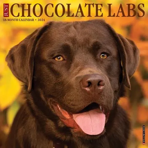 2024 Chocolate Labs Calendar
